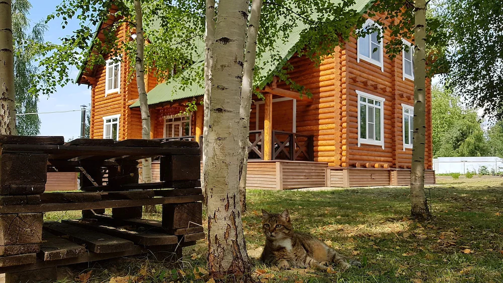 Guest House Tolstiy Kot