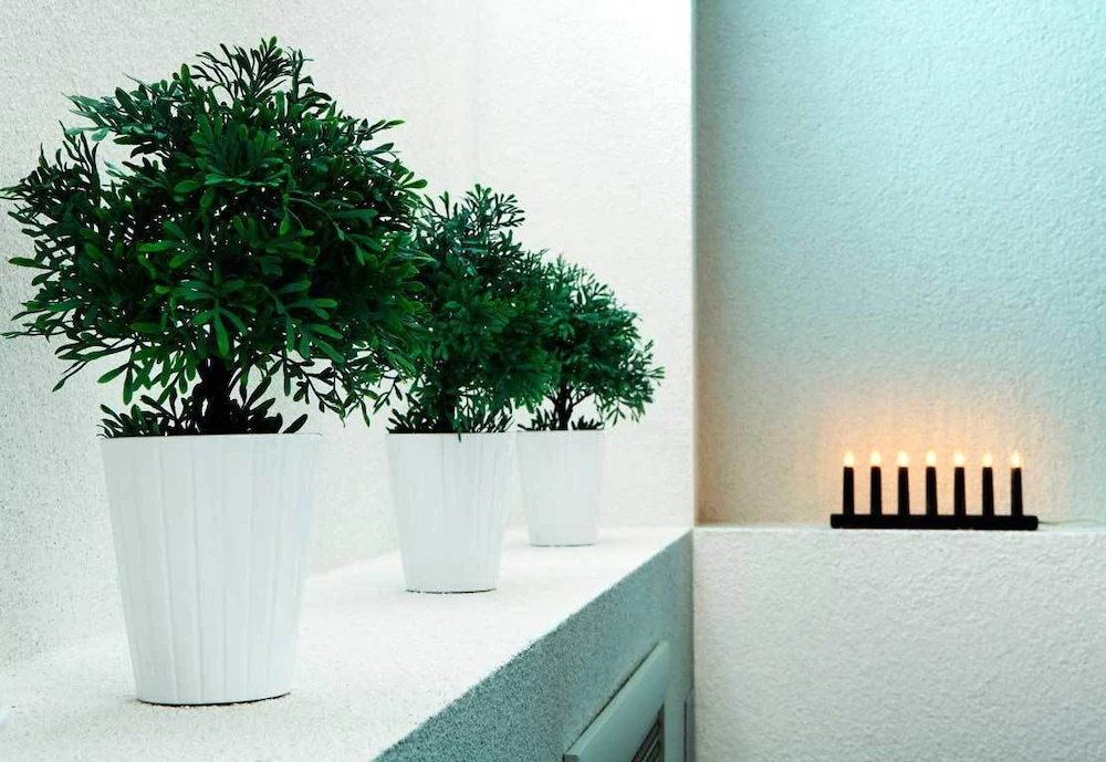 Hotel Boutique Stone