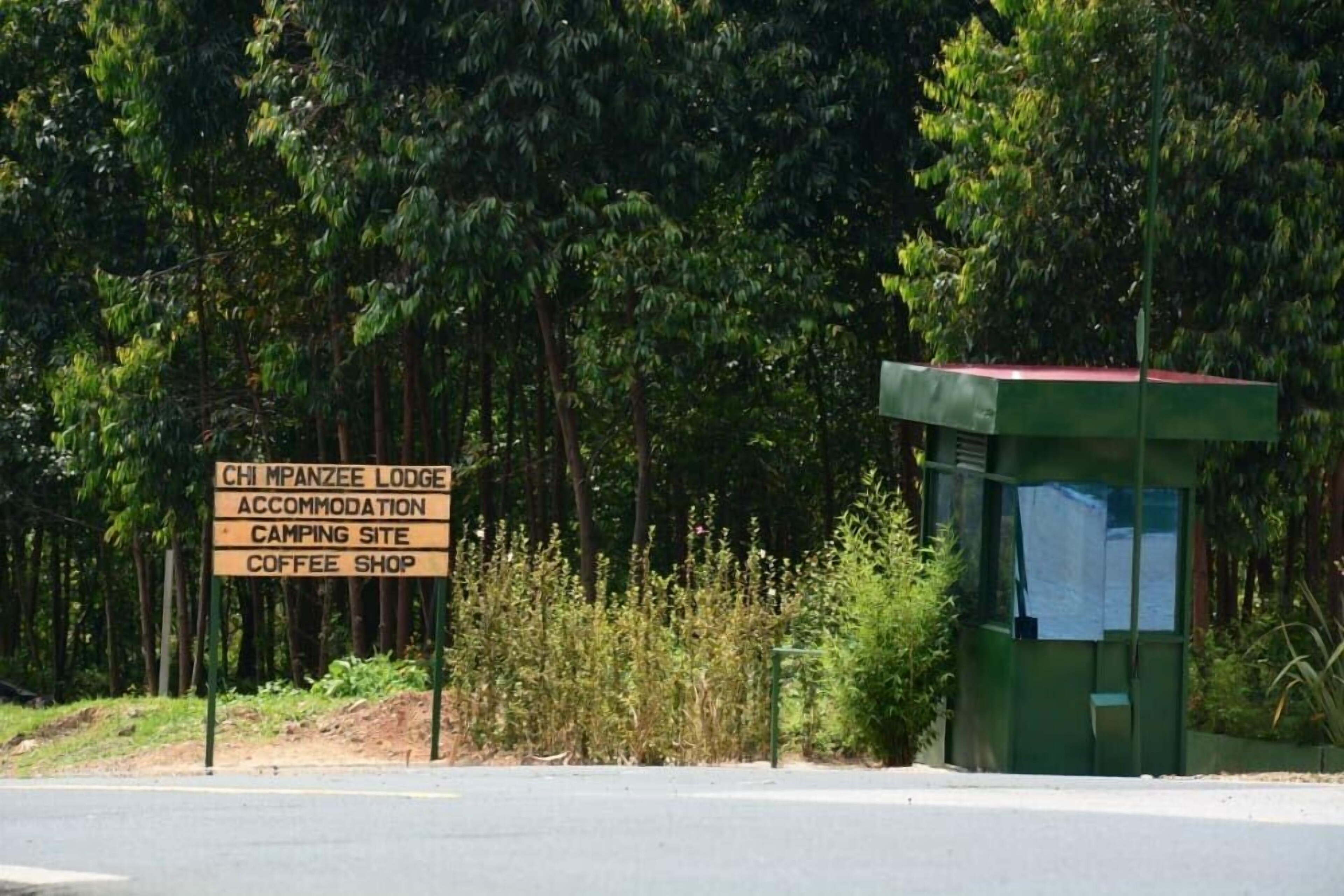 Chimpanzee Lodge