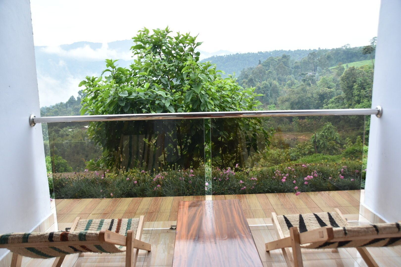 Chimpanzee Lodge