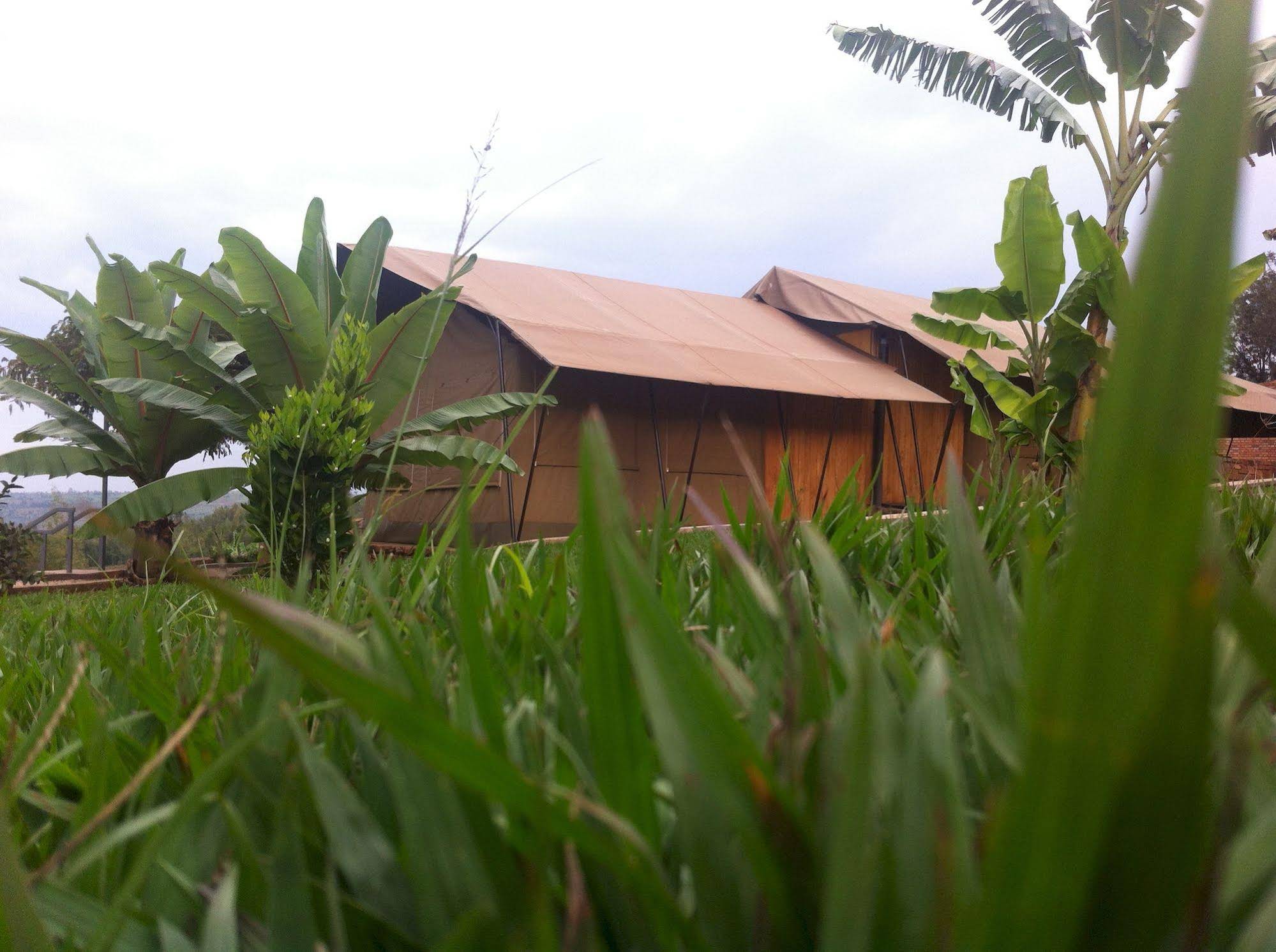 Discover Rwanda Kayonza EcoLodge