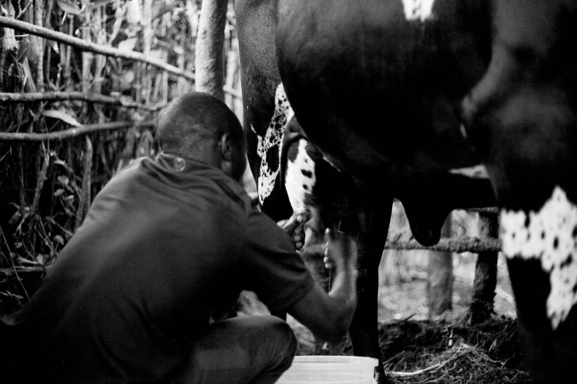 Discover Rwanda Kayonza EcoLodge