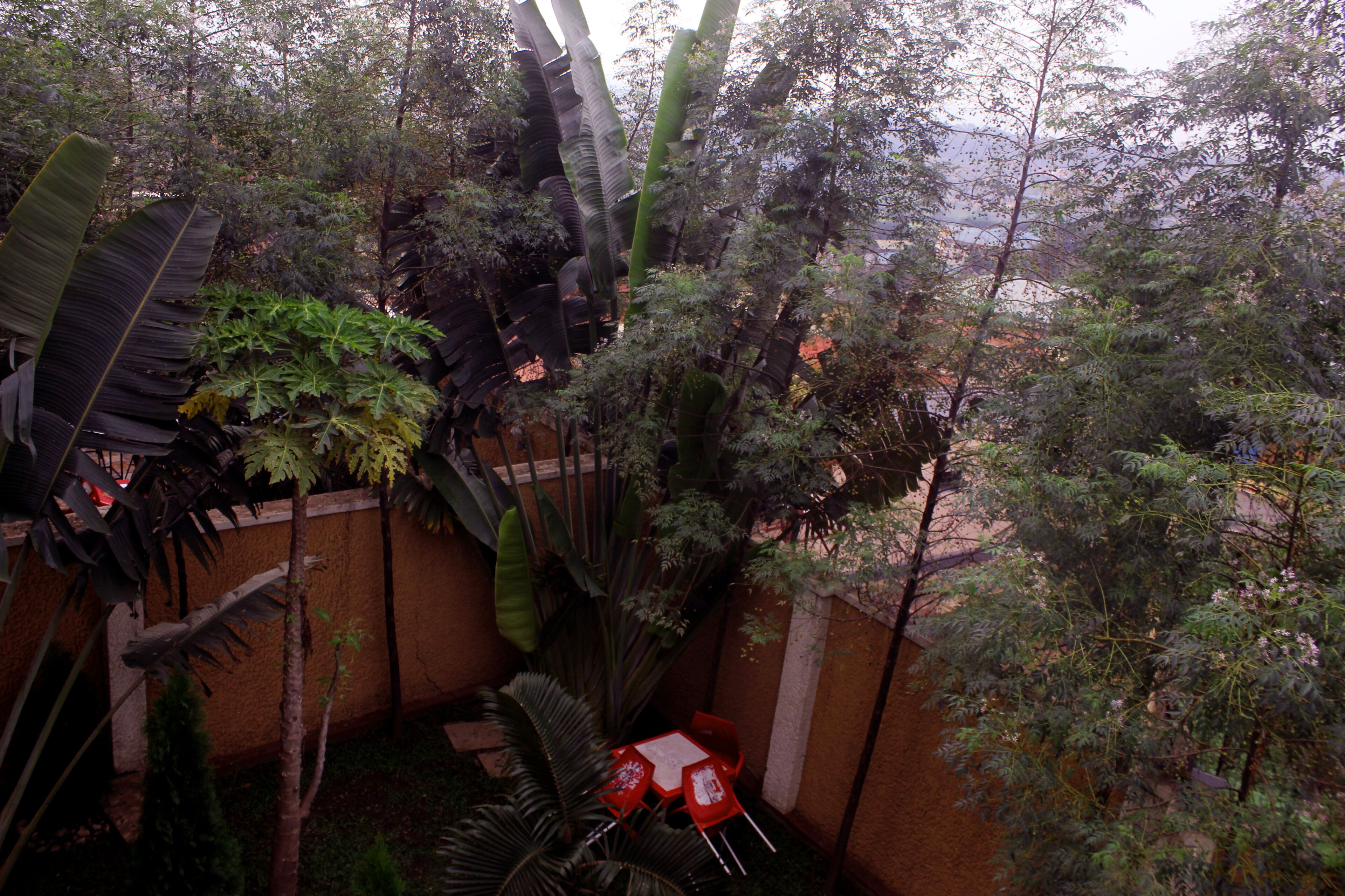 Green View Hotel
