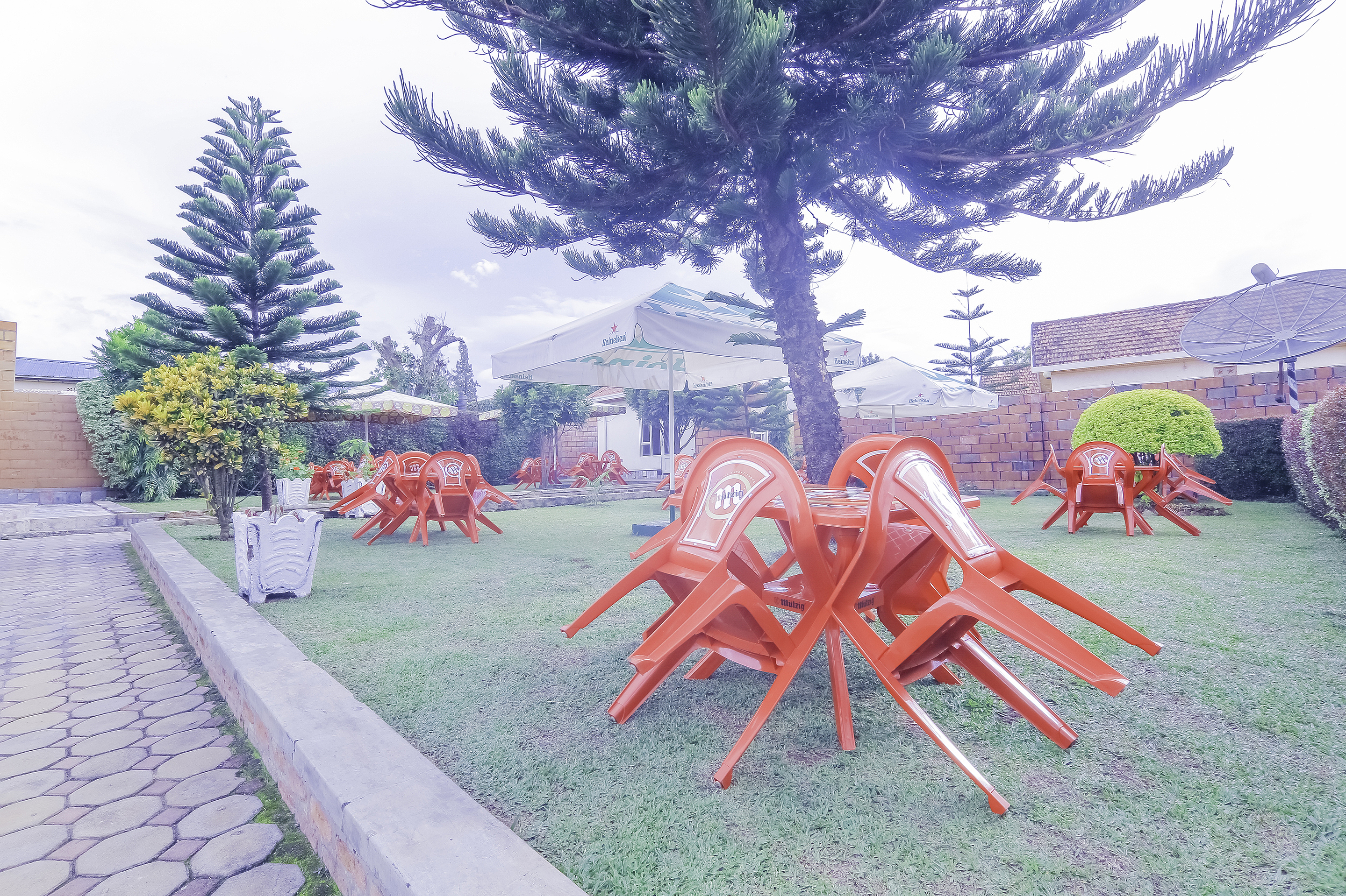 Martin Aviator Hotel