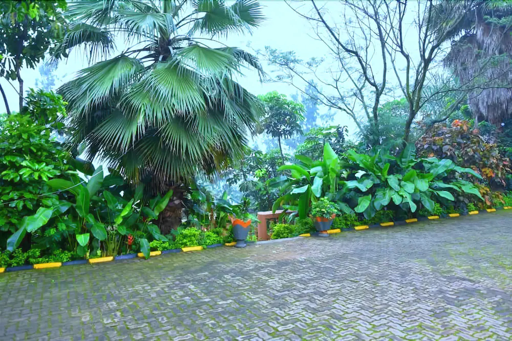 Random Park Hotel