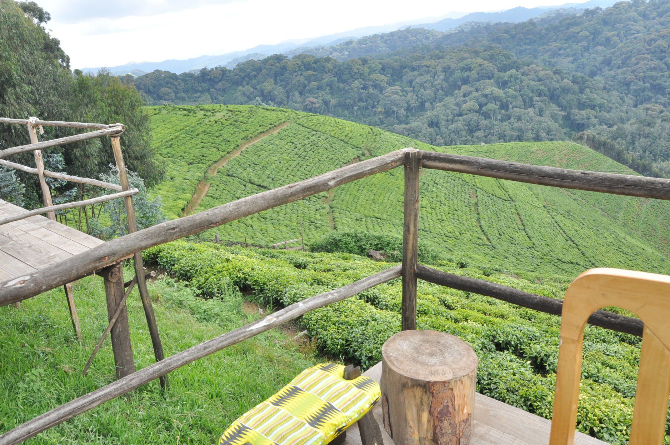 Nyungwe Nziza Ecolodge