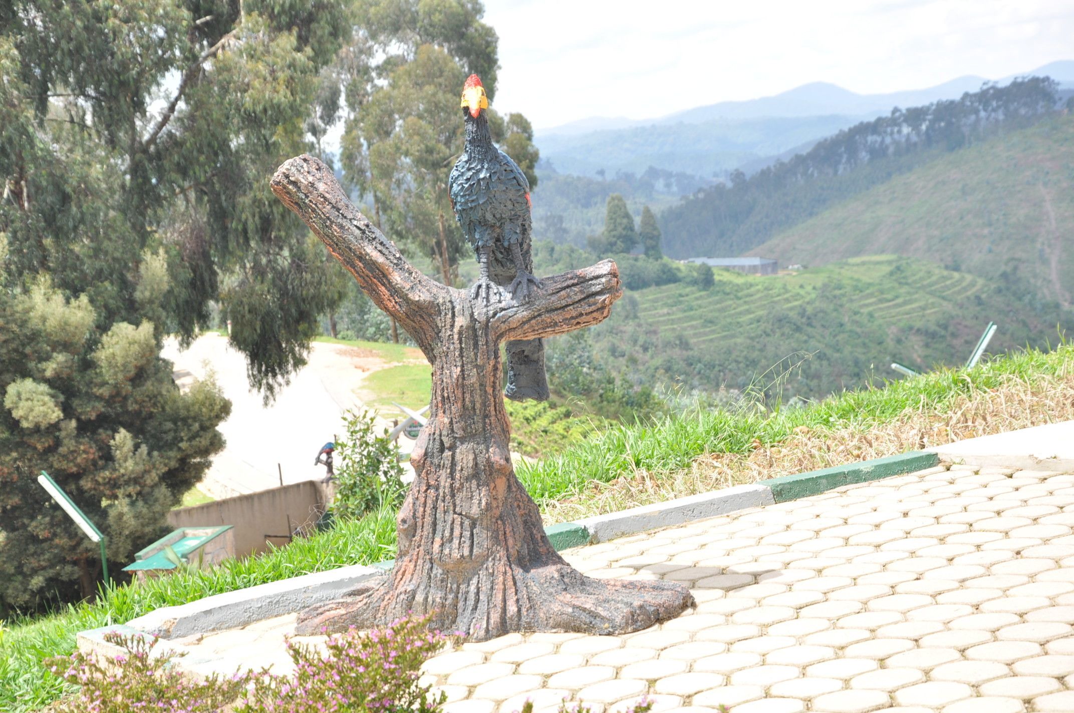 Nyungwe Nziza Ecolodge