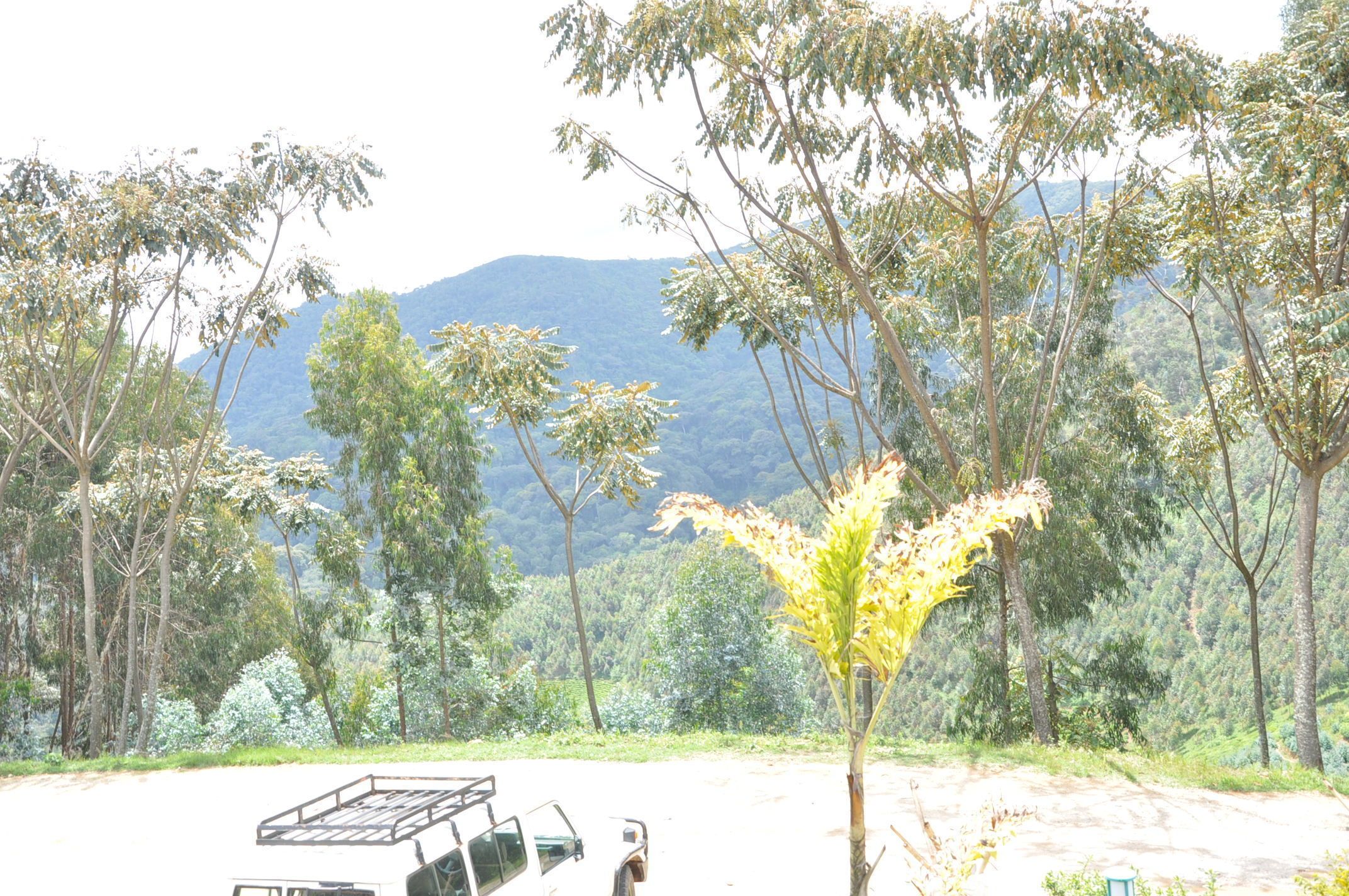 Nyungwe Nziza Ecolodge