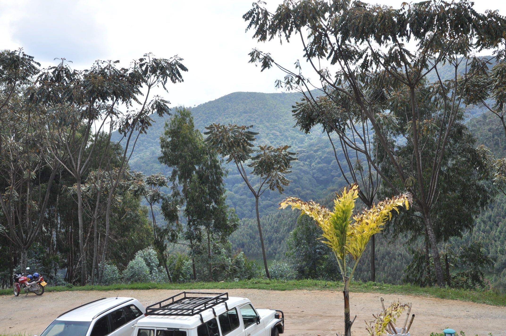 Nyungwe Nziza Ecolodge