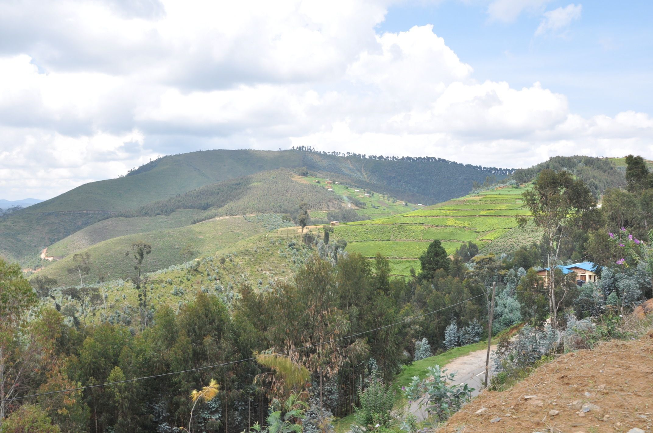 Nyungwe Nziza Ecolodge
