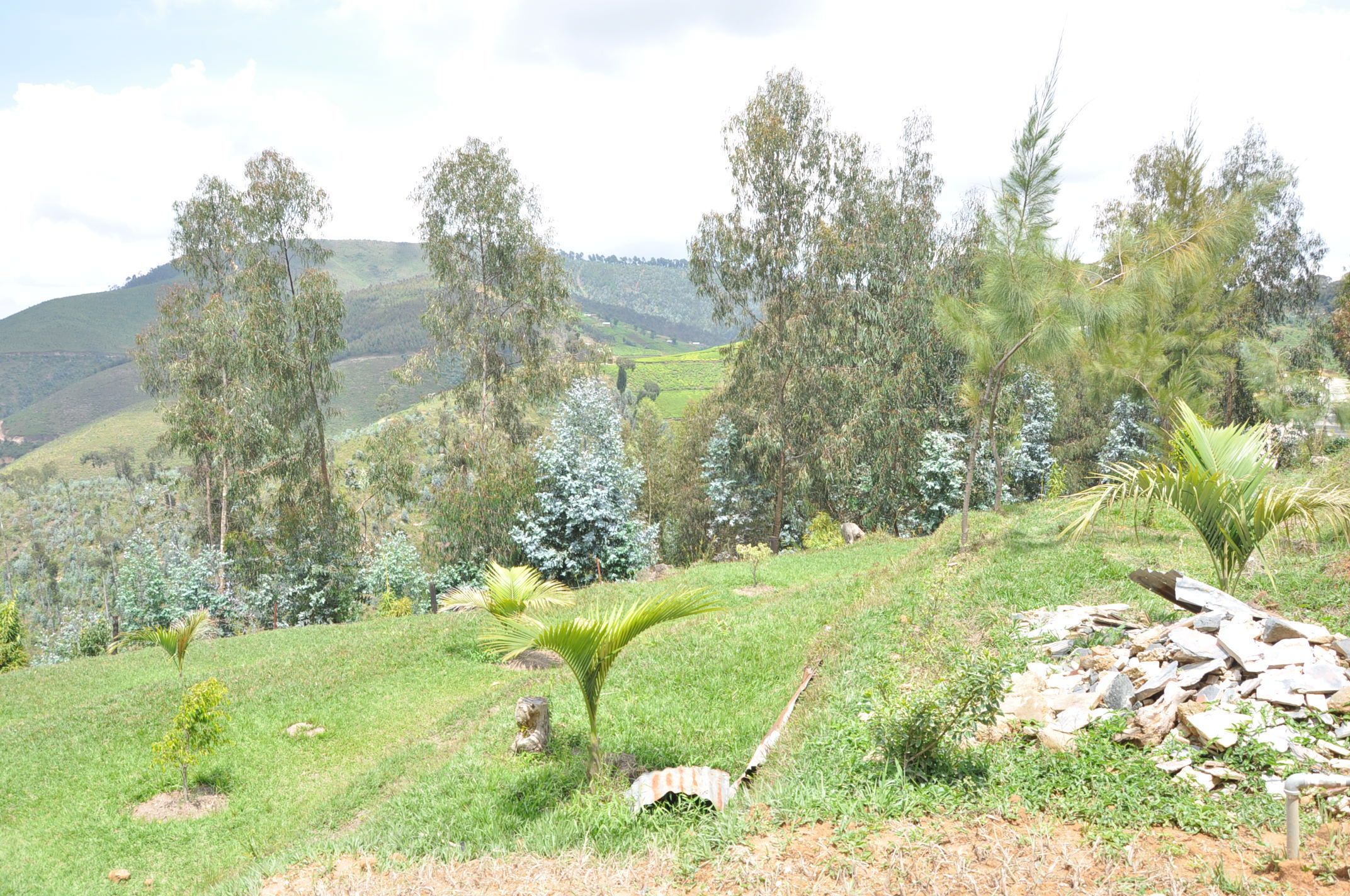Nyungwe Nziza Ecolodge