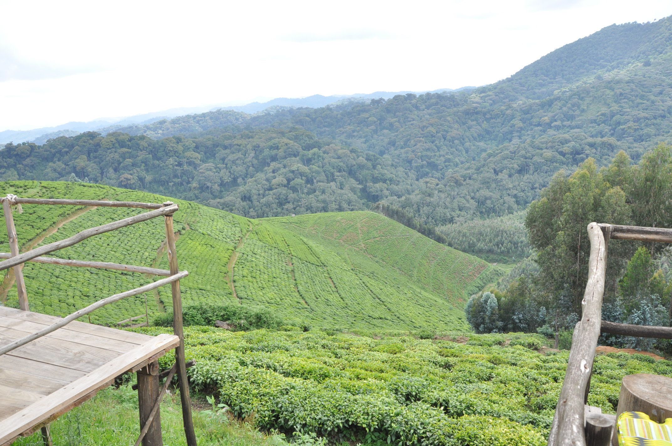 Nyungwe Nziza Ecolodge