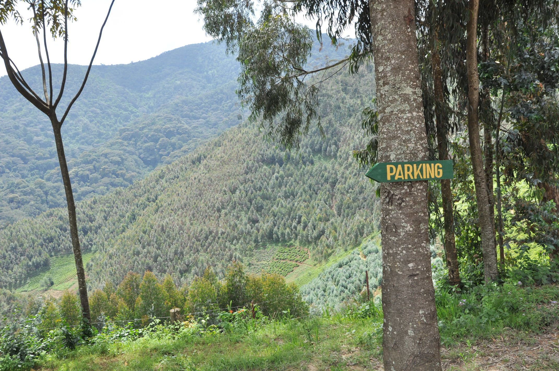 Nyungwe Nziza Ecolodge