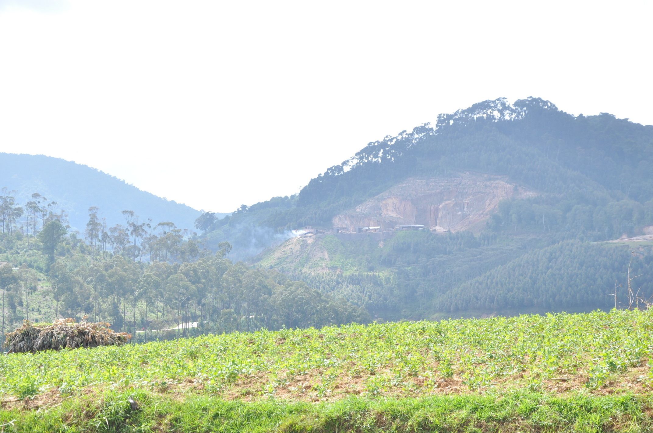 Nyungwe Nziza Ecolodge