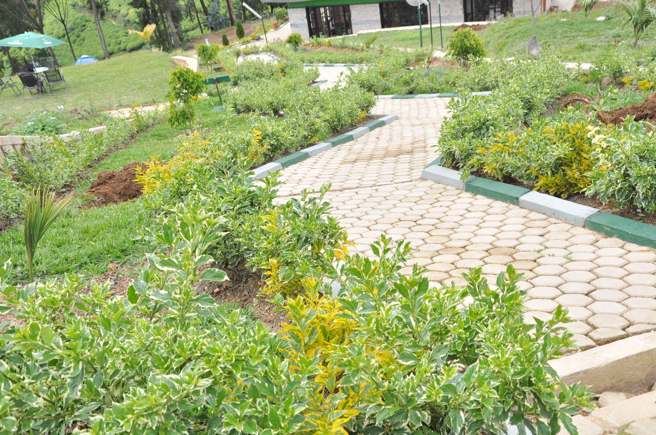 Nyungwe Nziza Ecolodge