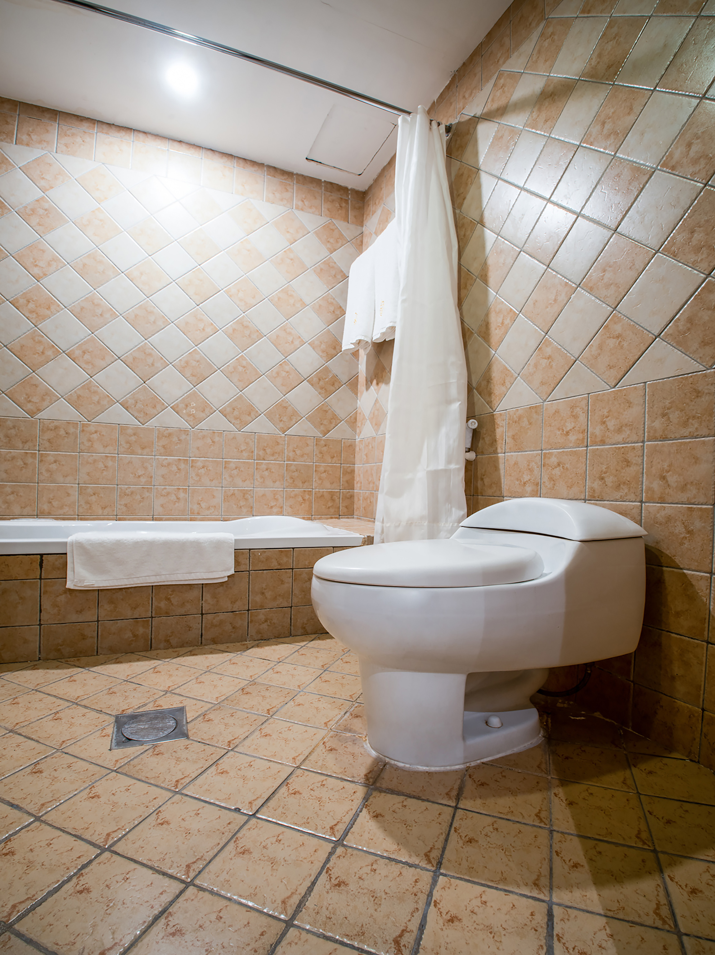 Eastward Hotel by OYO Rooms