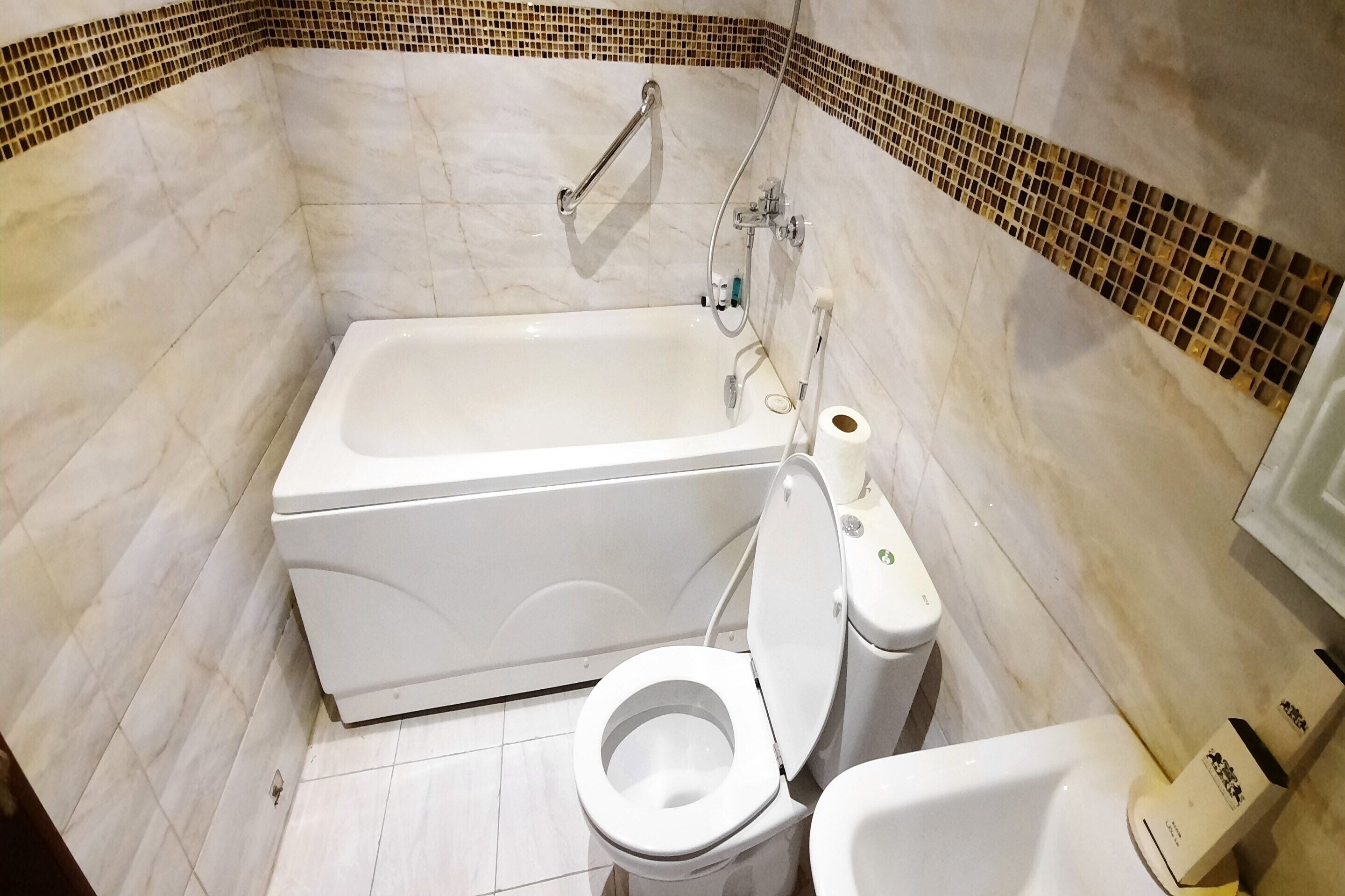 The Blue Rose Hotel by OYO Rooms