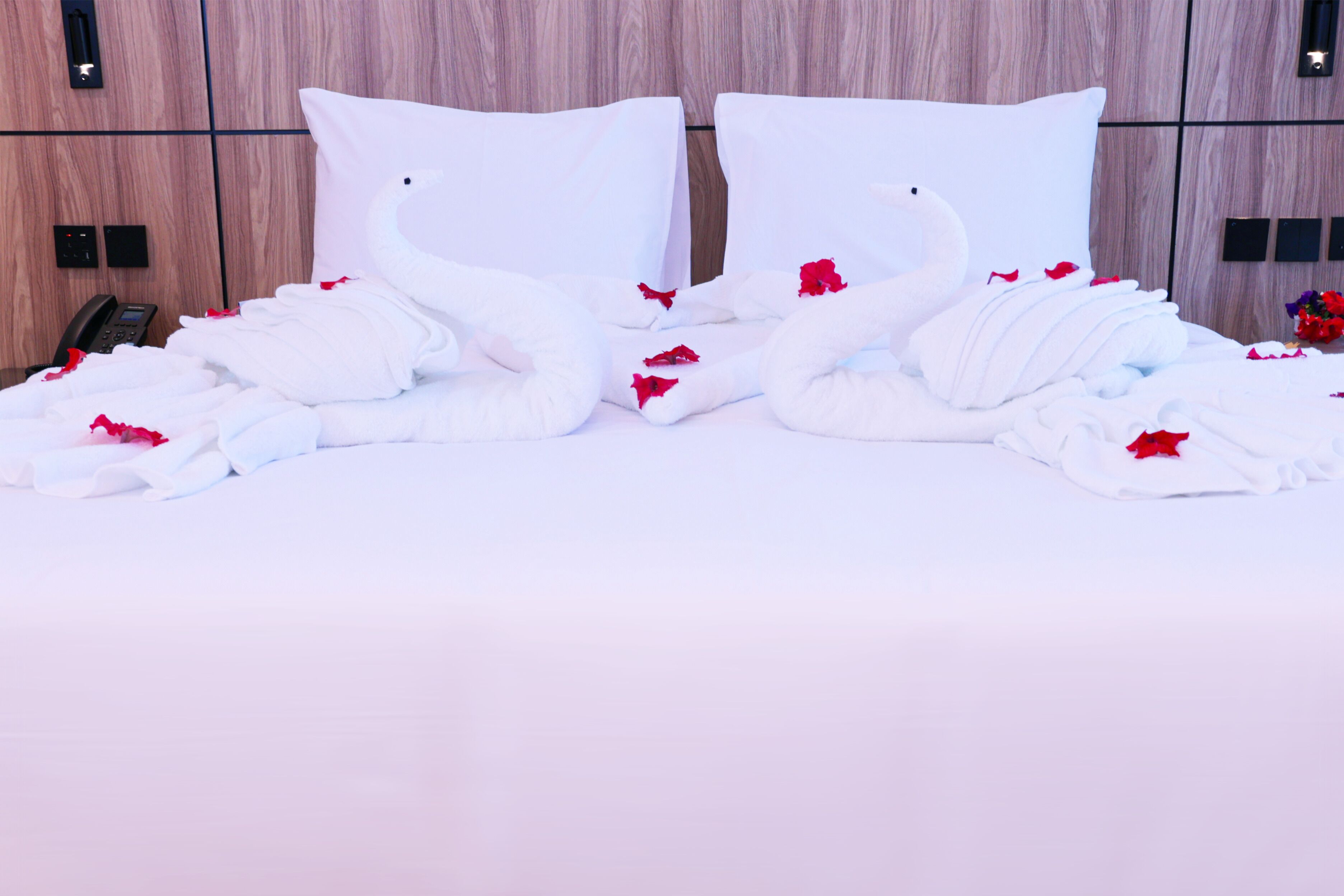 Hafawah Resort