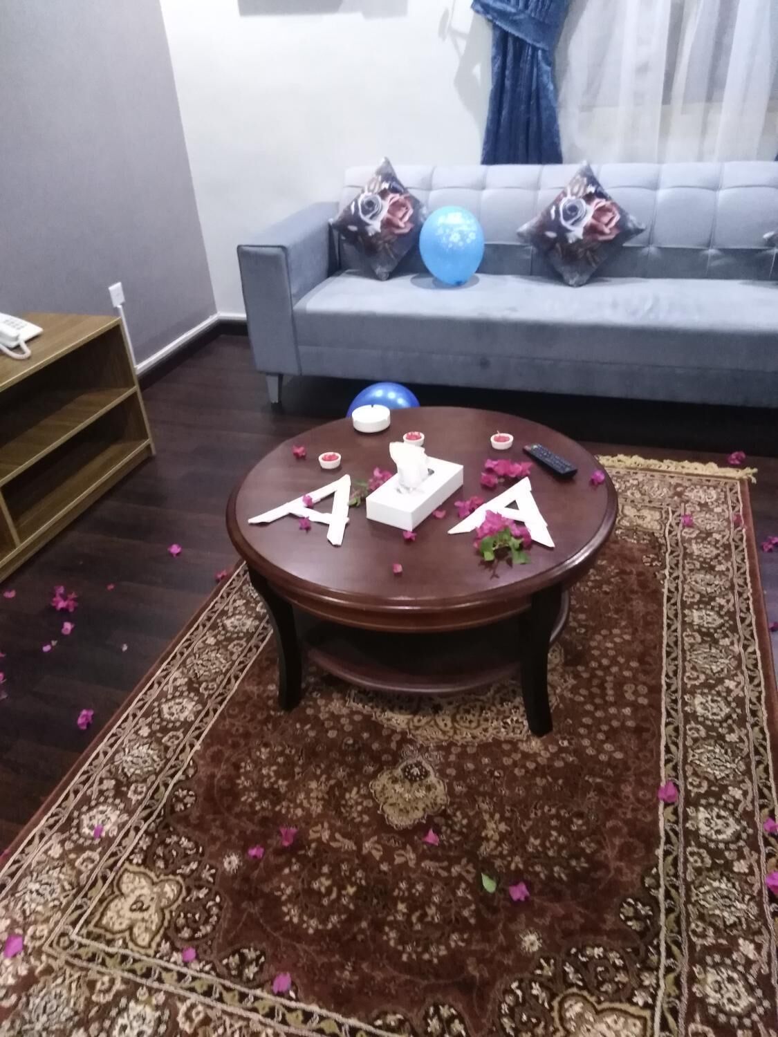 Marina Palace Furnished Units