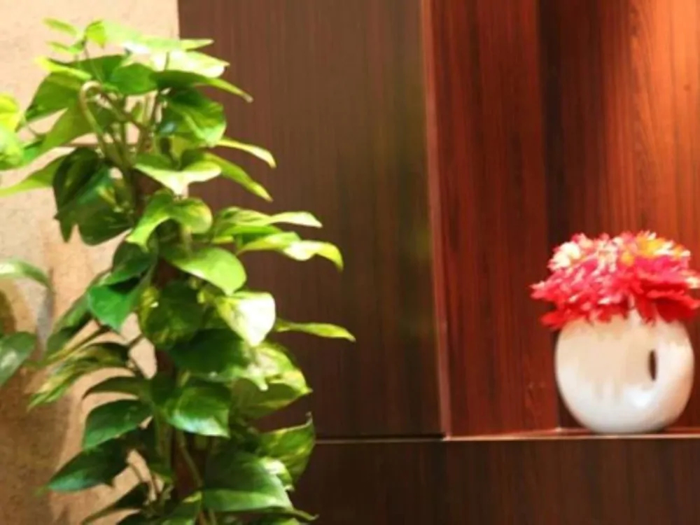 Golden Prince Al Sulaimania Hotel