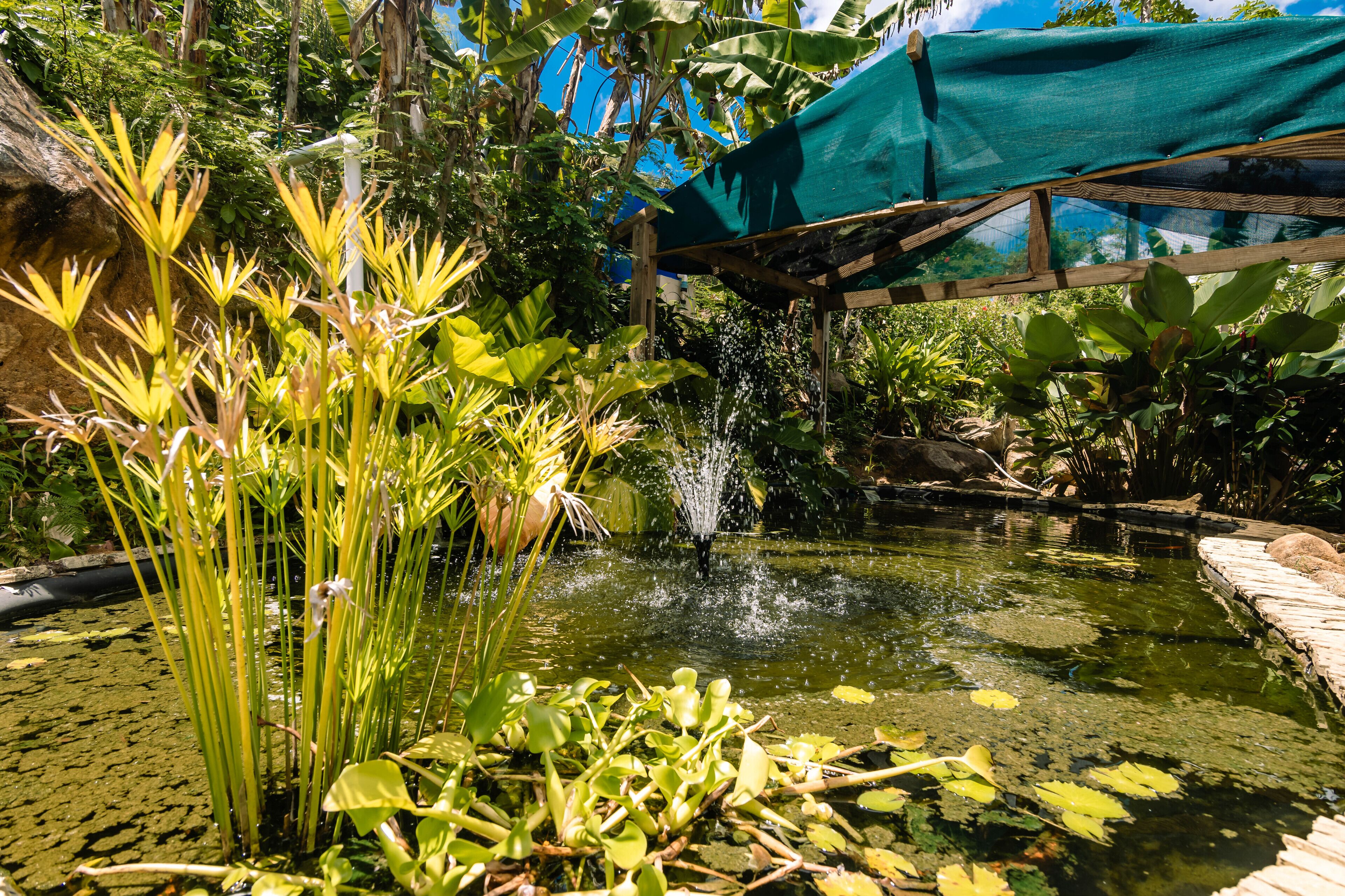 Paradise Chalets Yoga & Wellness