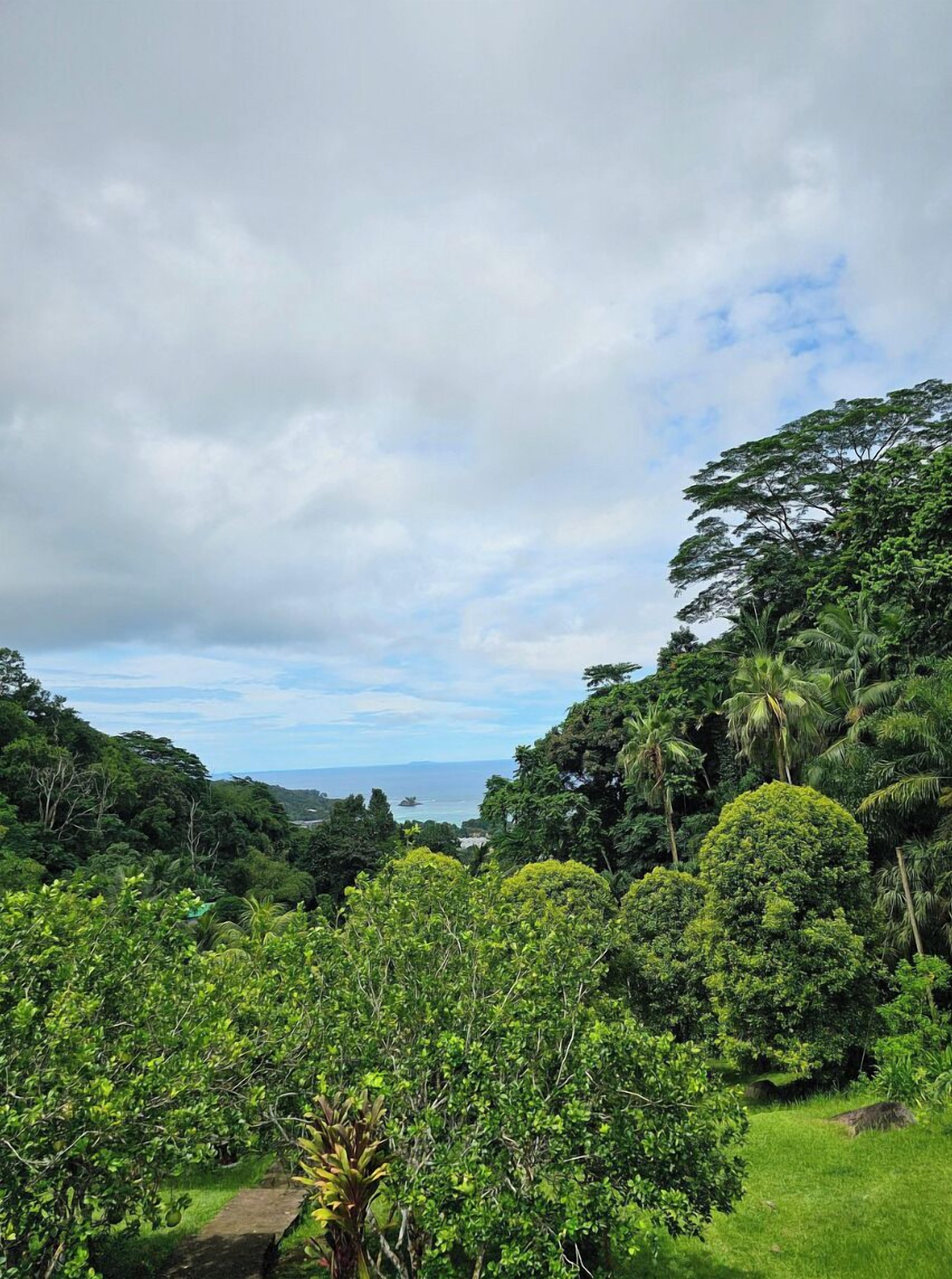 Paradise Chalets Yoga & Wellness