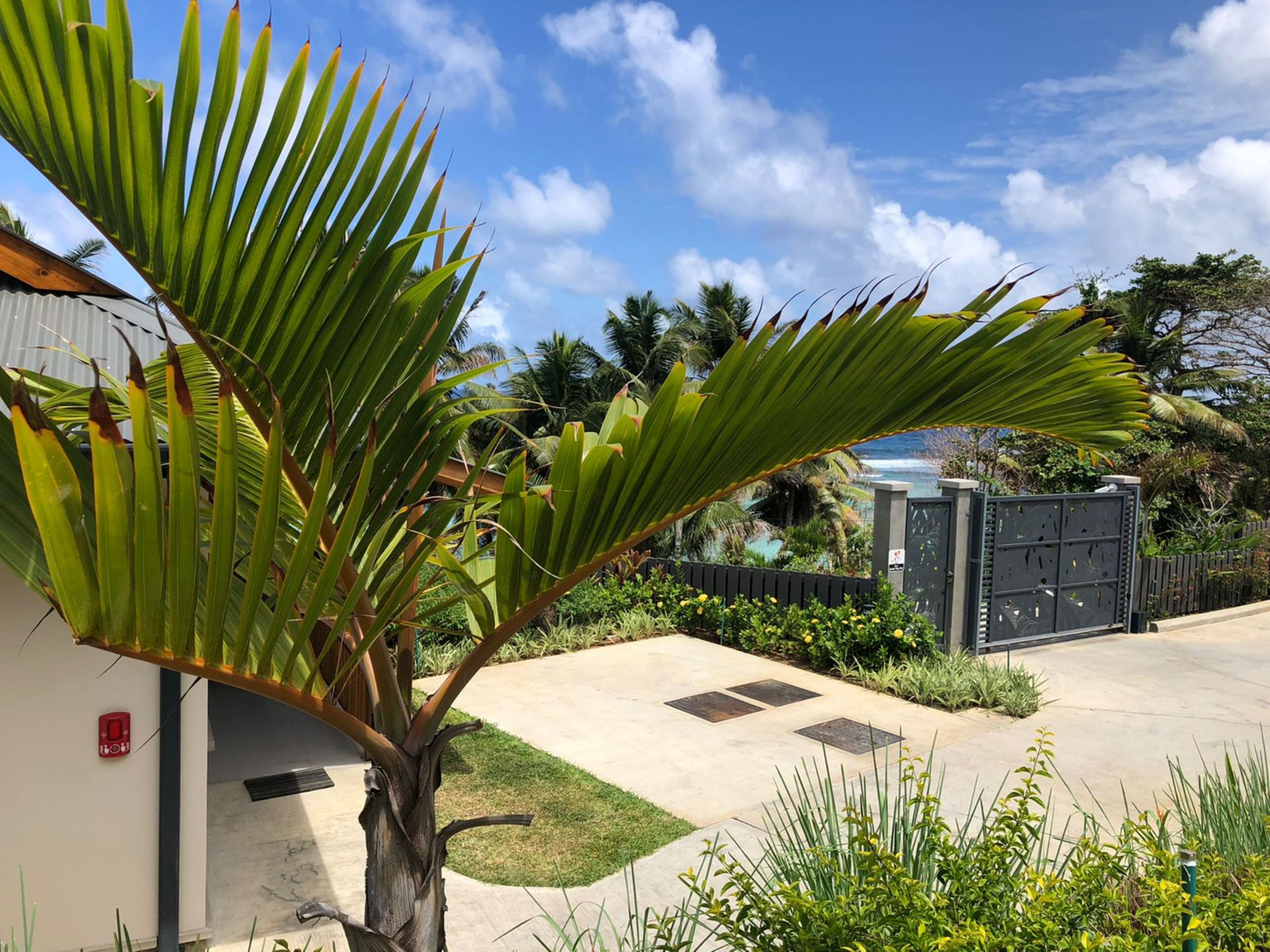 Paradise Chalets Yoga & Wellness