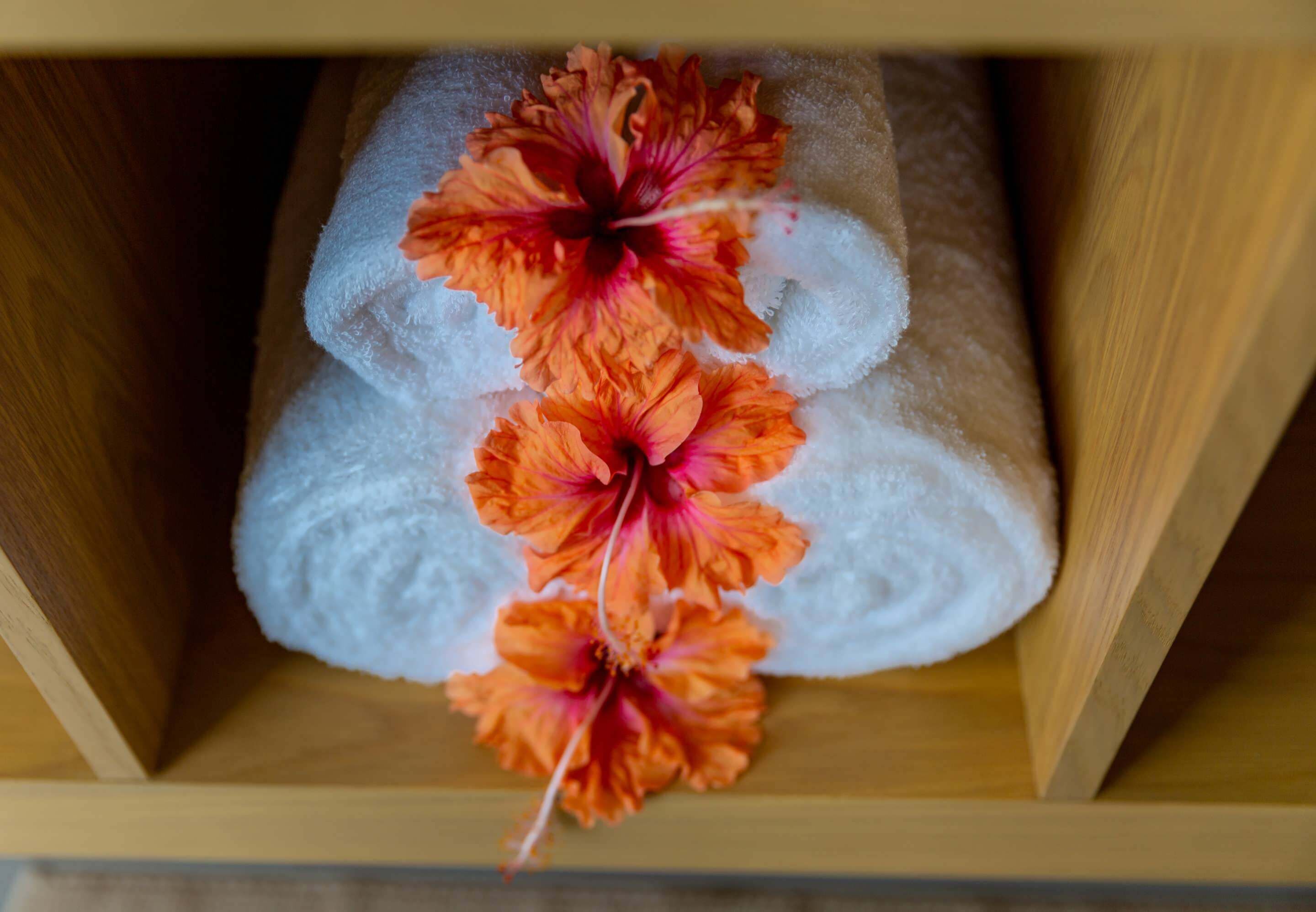 Paradise Chalets Yoga & Wellness