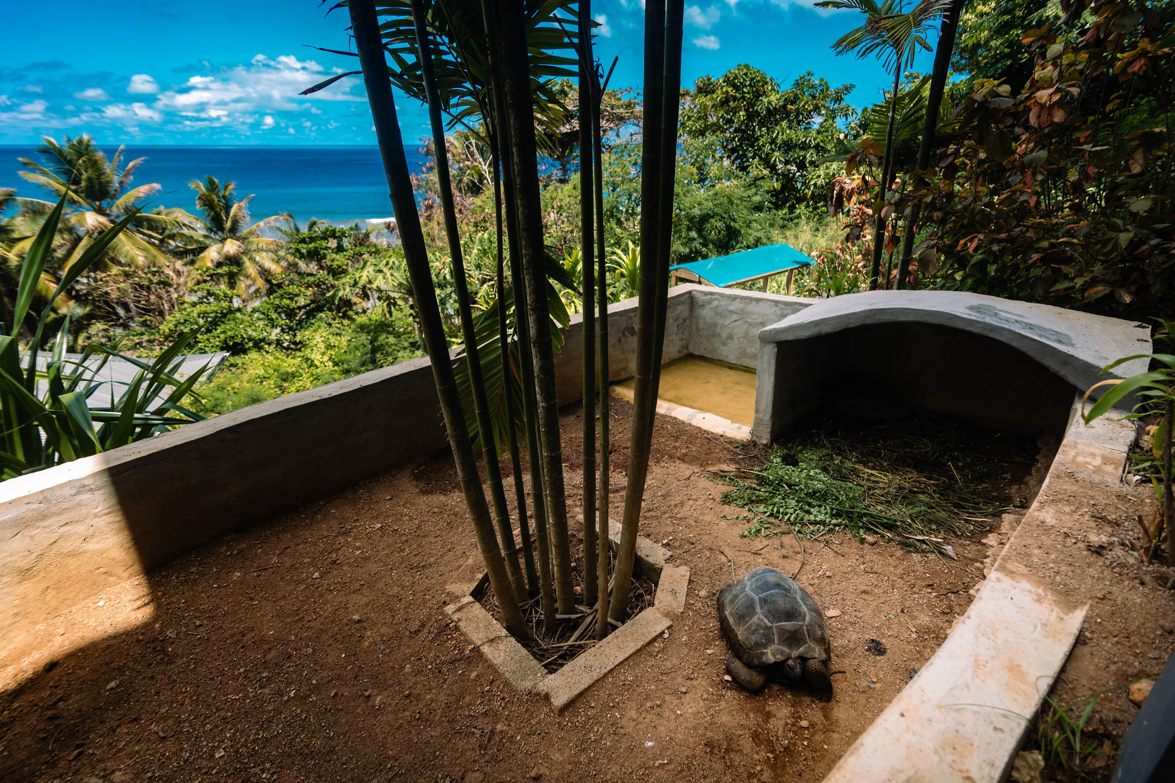 Paradise Chalets Yoga & Wellness