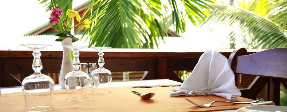 Le Jardin des Palmes