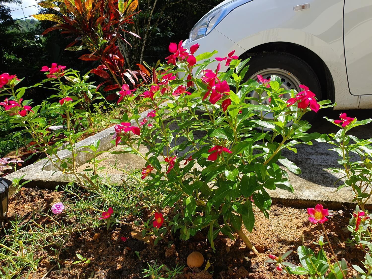 Kanasuk Self Catering Apartments