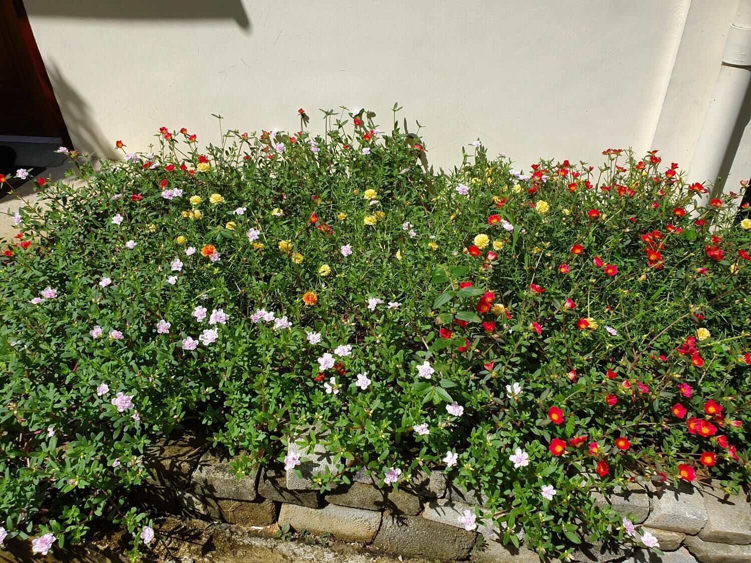 Kanasuk Self Catering Apartments