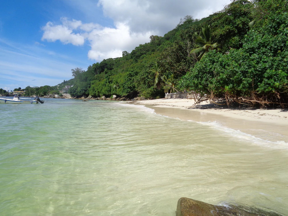 Ocean & Beach View Villa