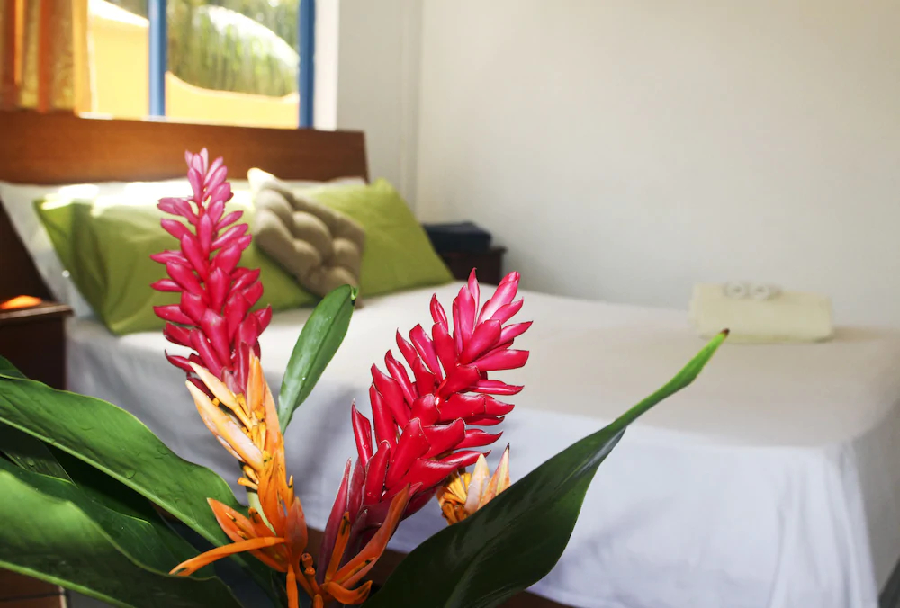 Vicky's Holiday Apartments