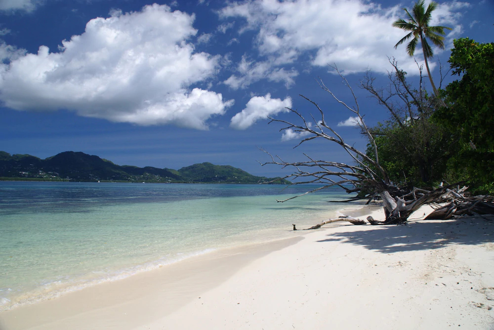 Fairy Tern Chalets