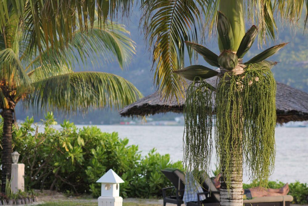 L'Habitation Cerf Island