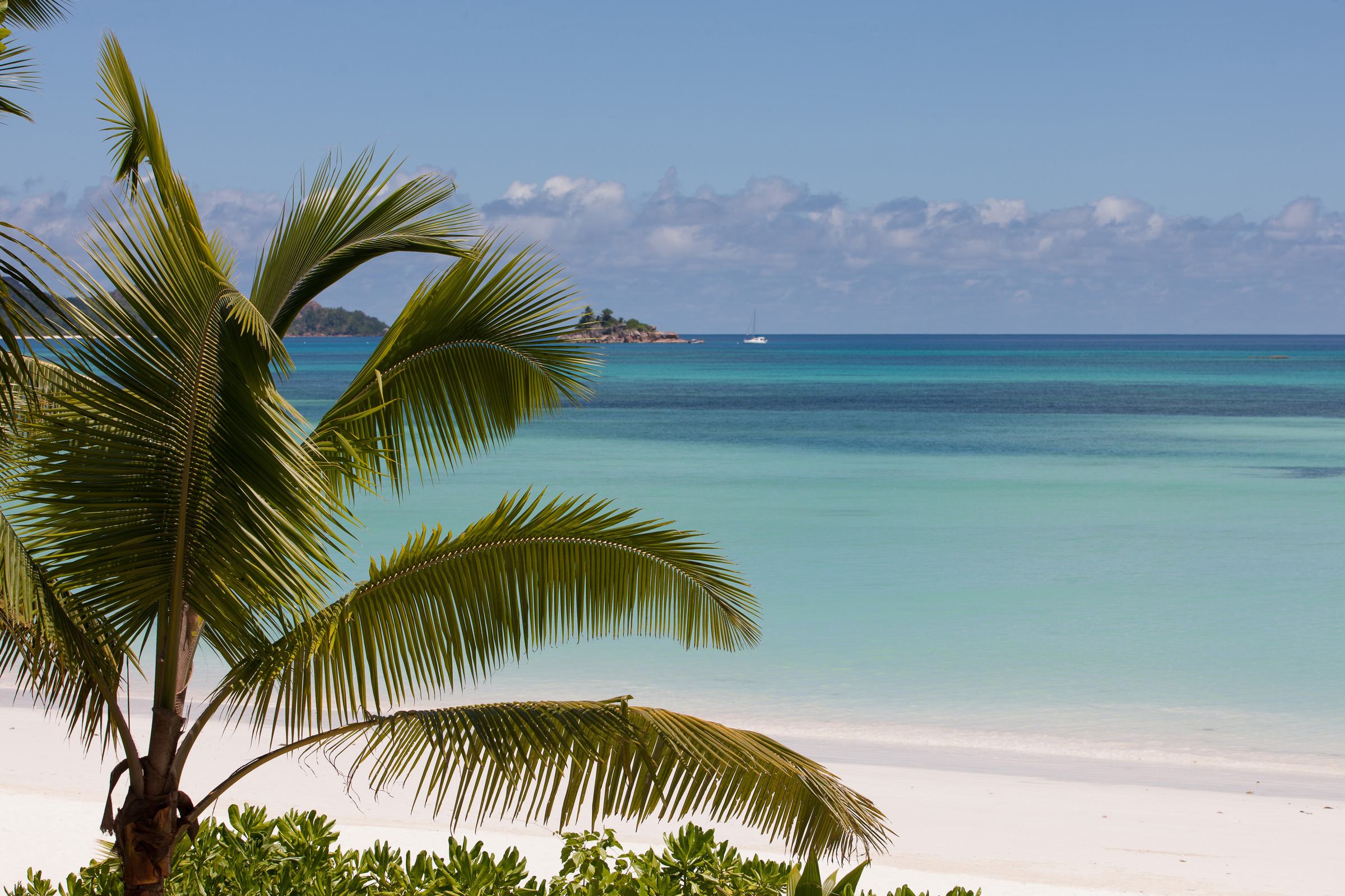 Acajou Beach Resort
