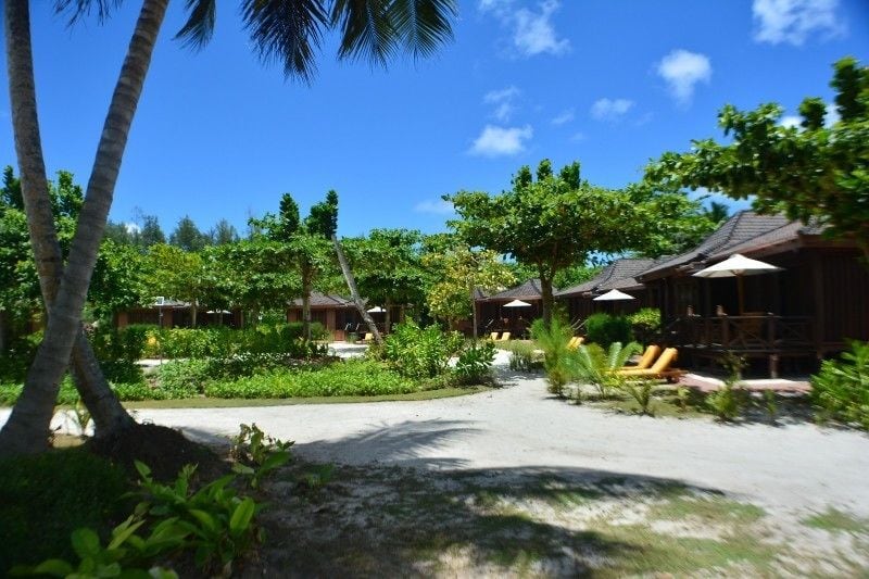 Heliconia Grove