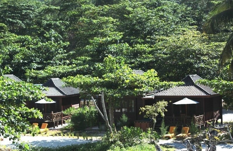 Heliconia Grove
