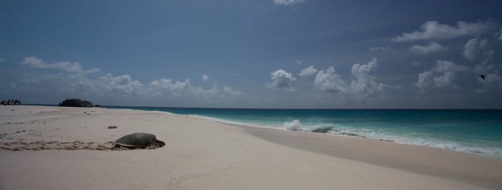 Cousine Island Resort
