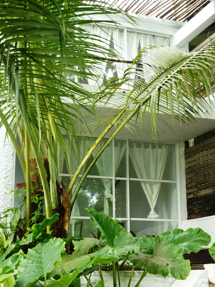 BLISS Hotel Seychelles