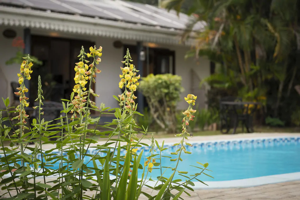 Auberge Chez Plume