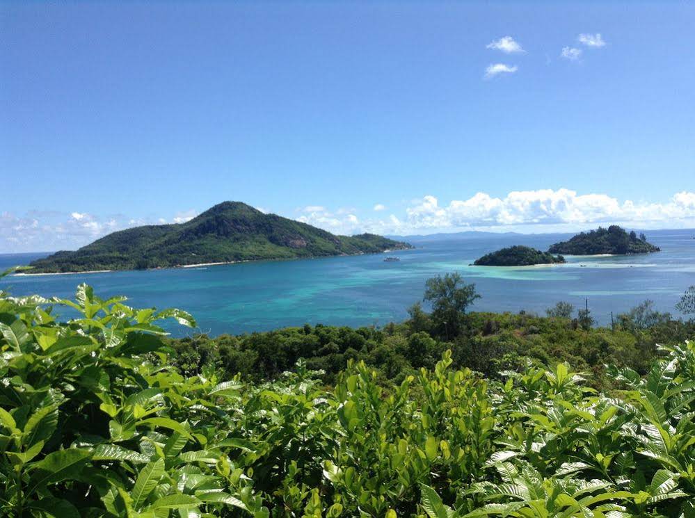 Castaway Fishing Lodge