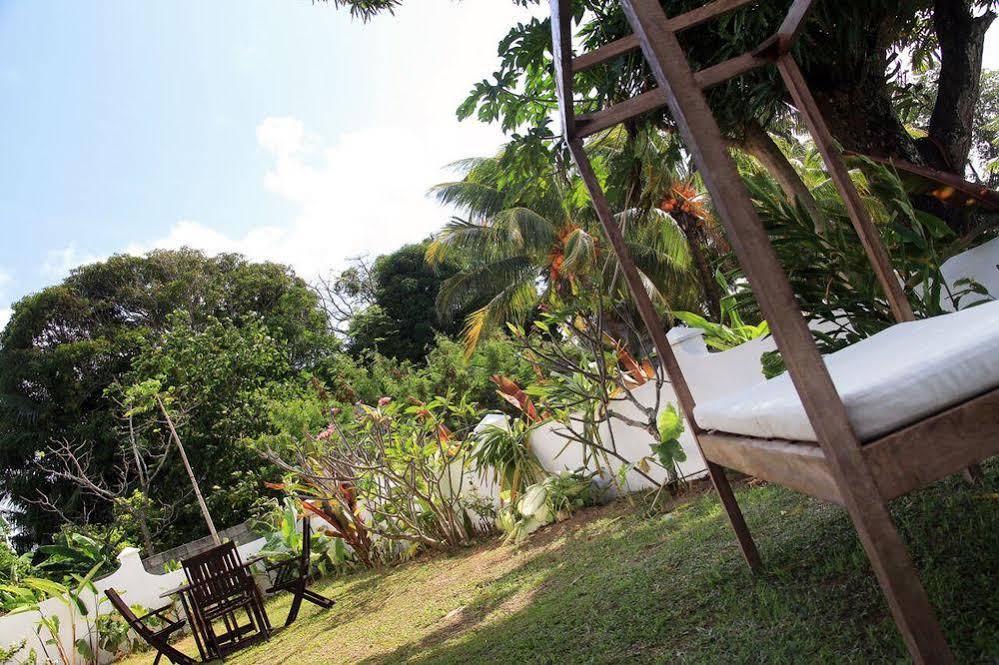 Castaway Fishing Lodge