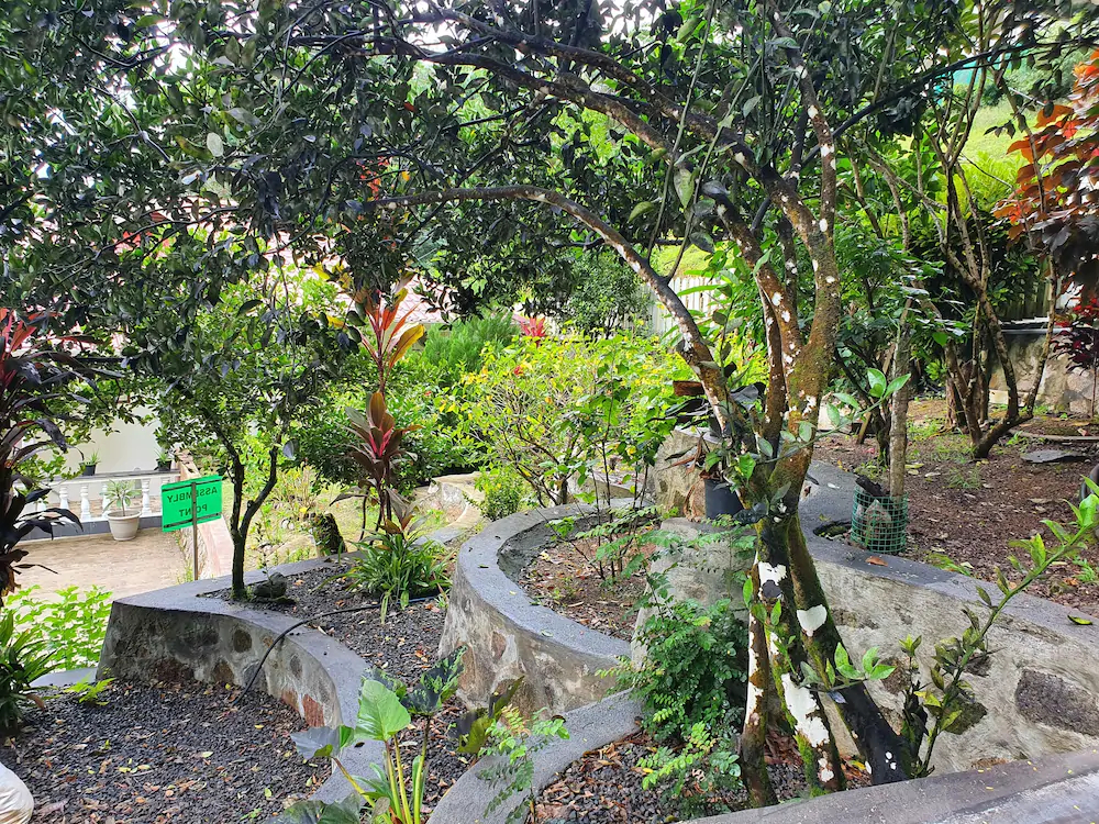 Jane's Serenity Guest house