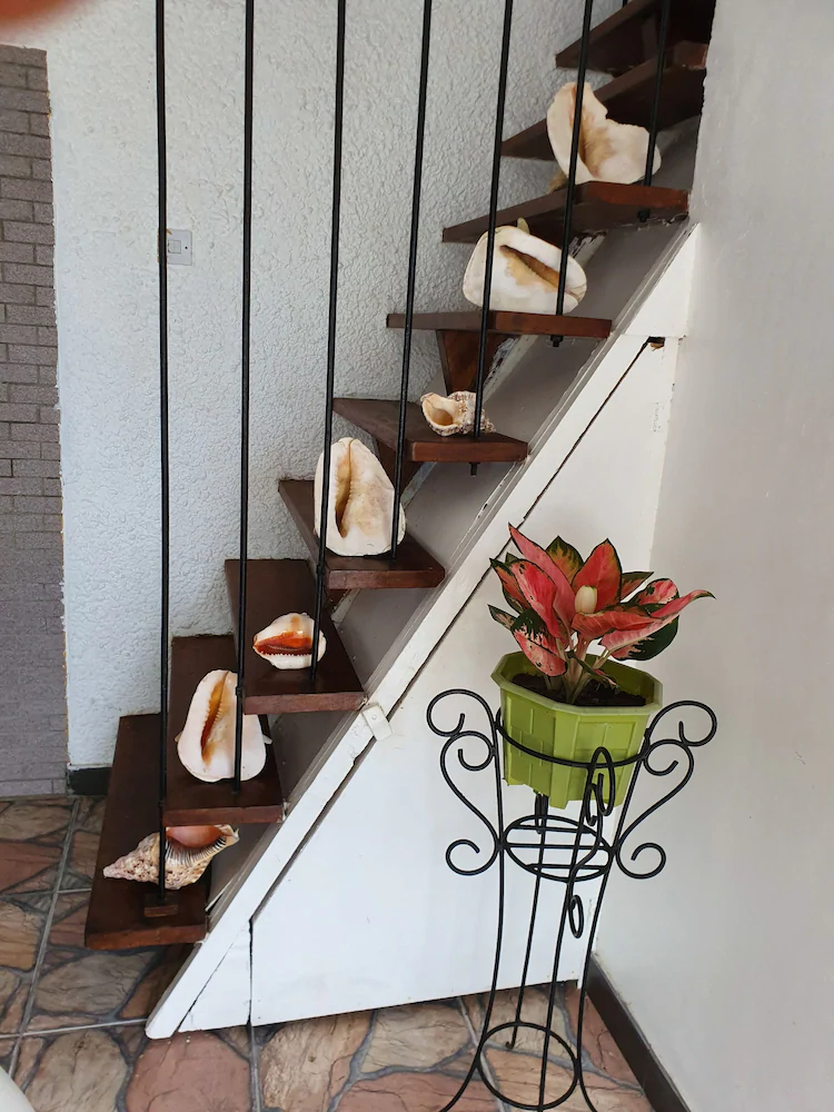 Jane's Serenity Guest house