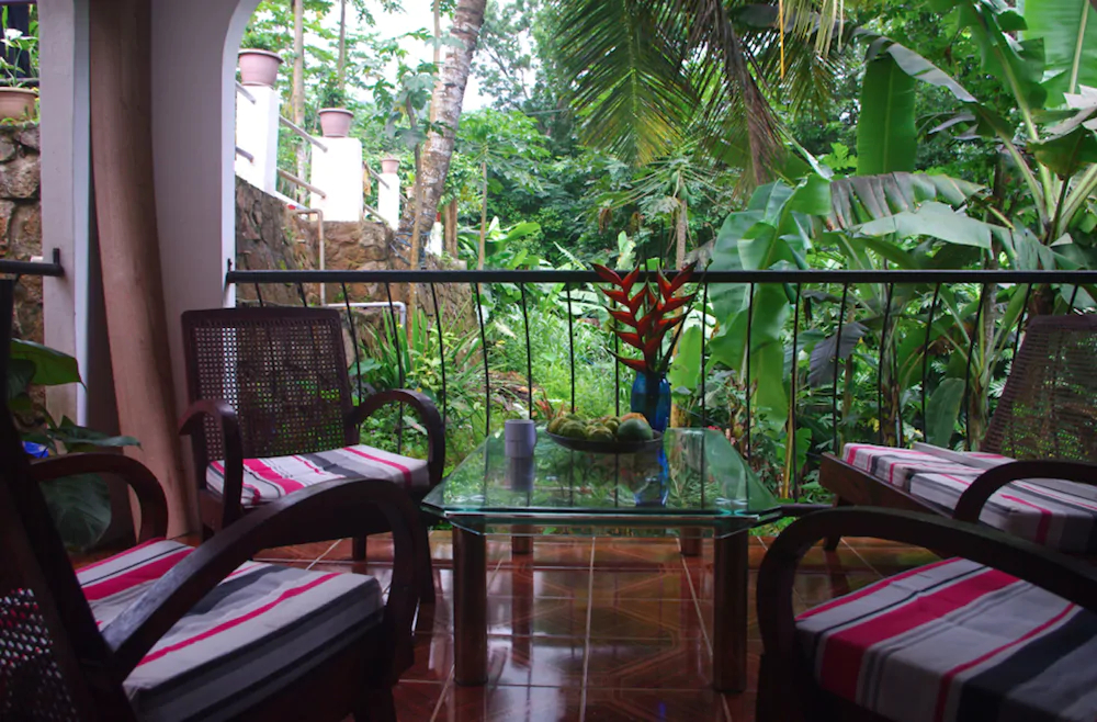 Papaya Guesthouse