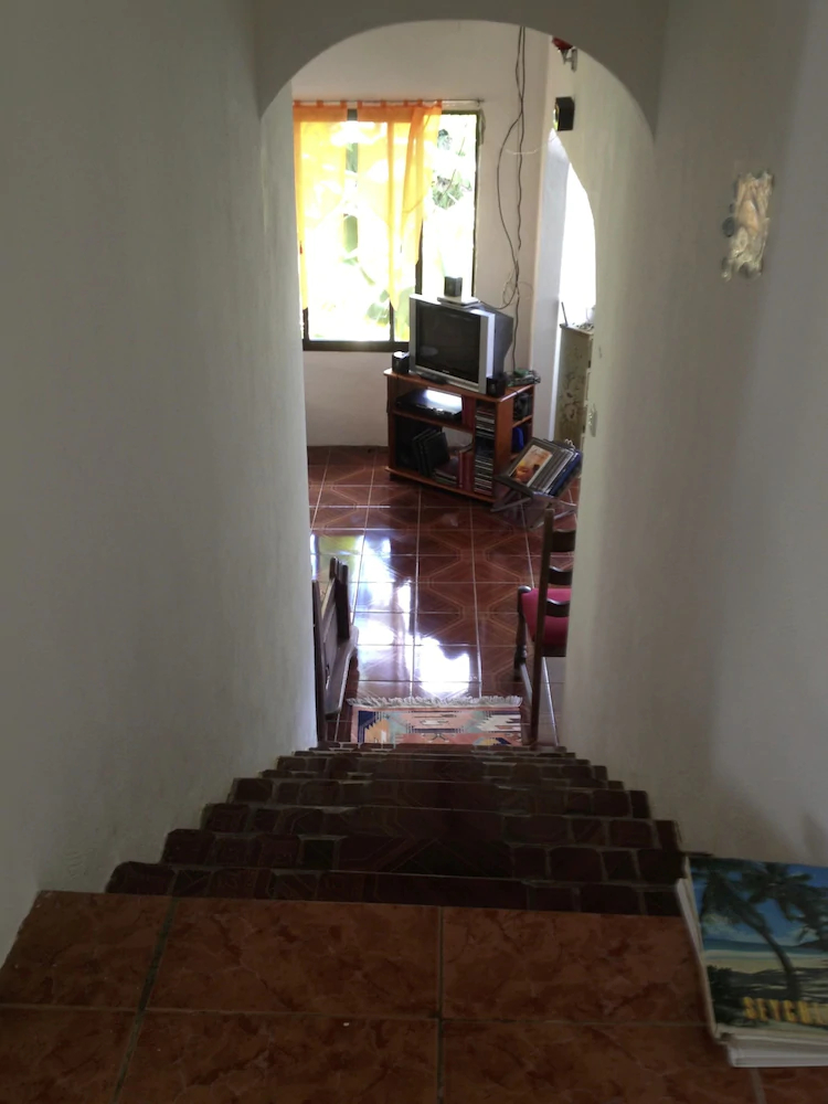 Papaya Guesthouse