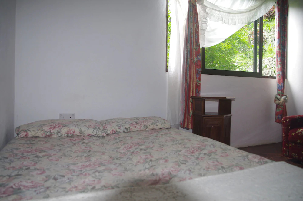 Papaya Guesthouse