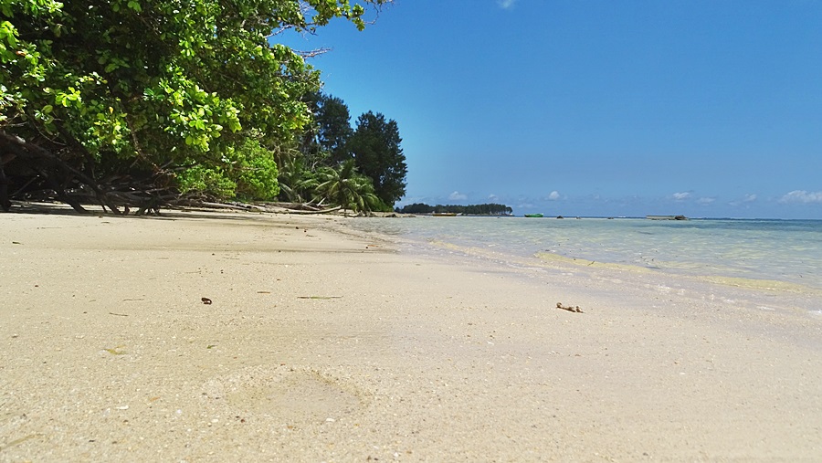 Reef Holiday